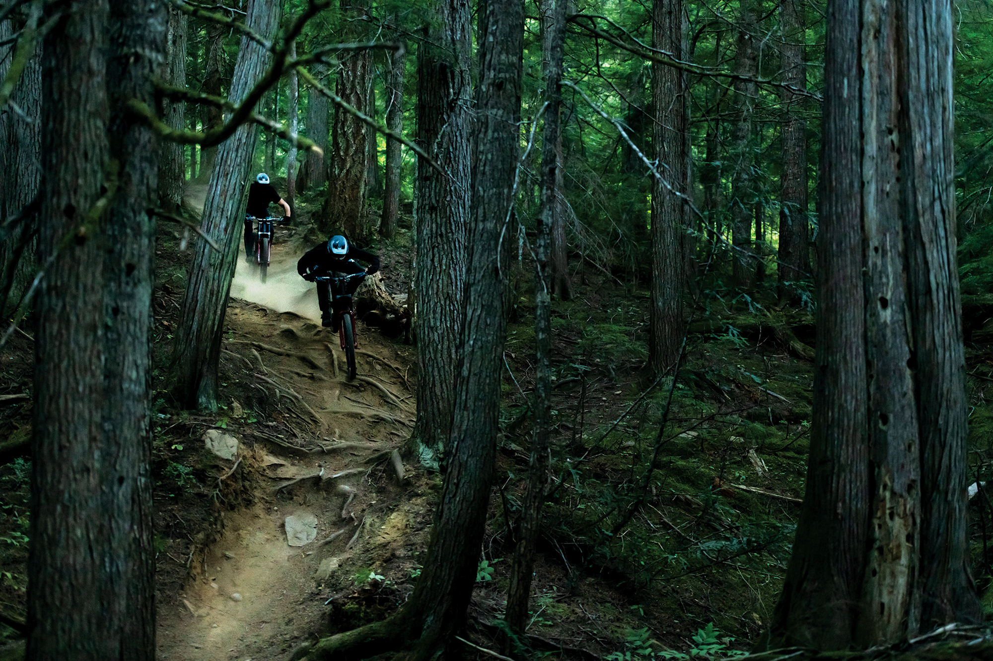 1 Norco Our Work Norco signs exclusive distribution partnership with Silverfish UK