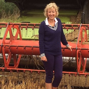 Peer blames London’s long-time traffic congestion on the new cycleways