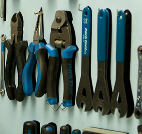 Cytech extends its reach to Canada