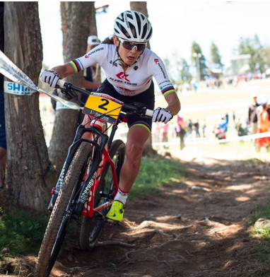 Poland’s KROSS receives grant for carbon production