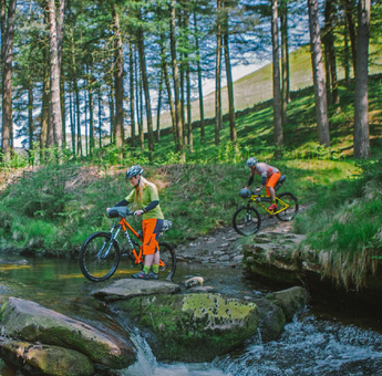 Polaris post sales growth of 12 per cent