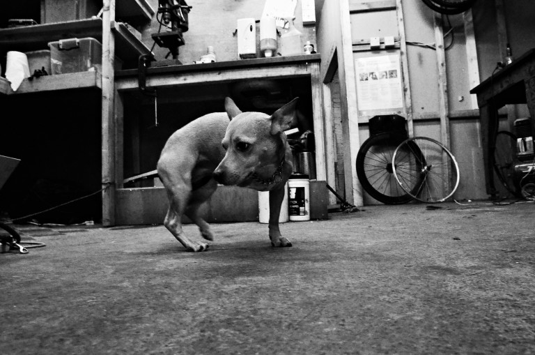 Barbican to host bespoke-bike discussion with craft frame builders