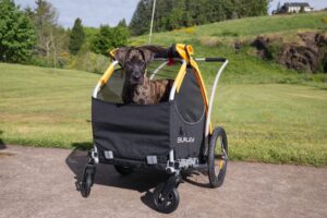 2 Tail Wagon Lifestyle 1 Trailer specialist Burley Design release new pet range