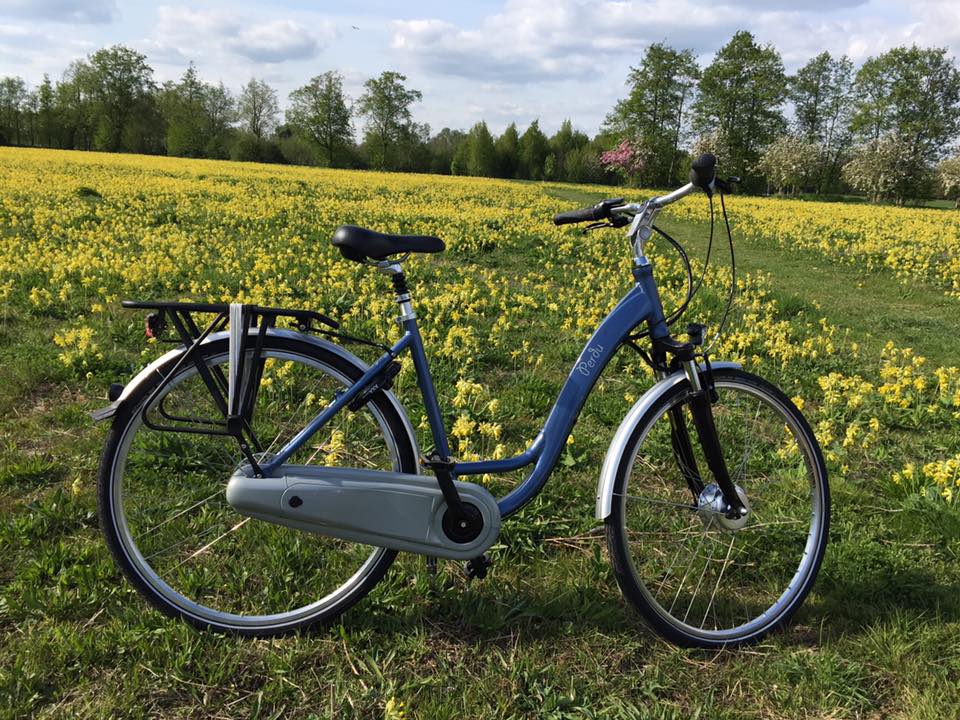 Seventy e-bikes stolen from Batribike partner company
