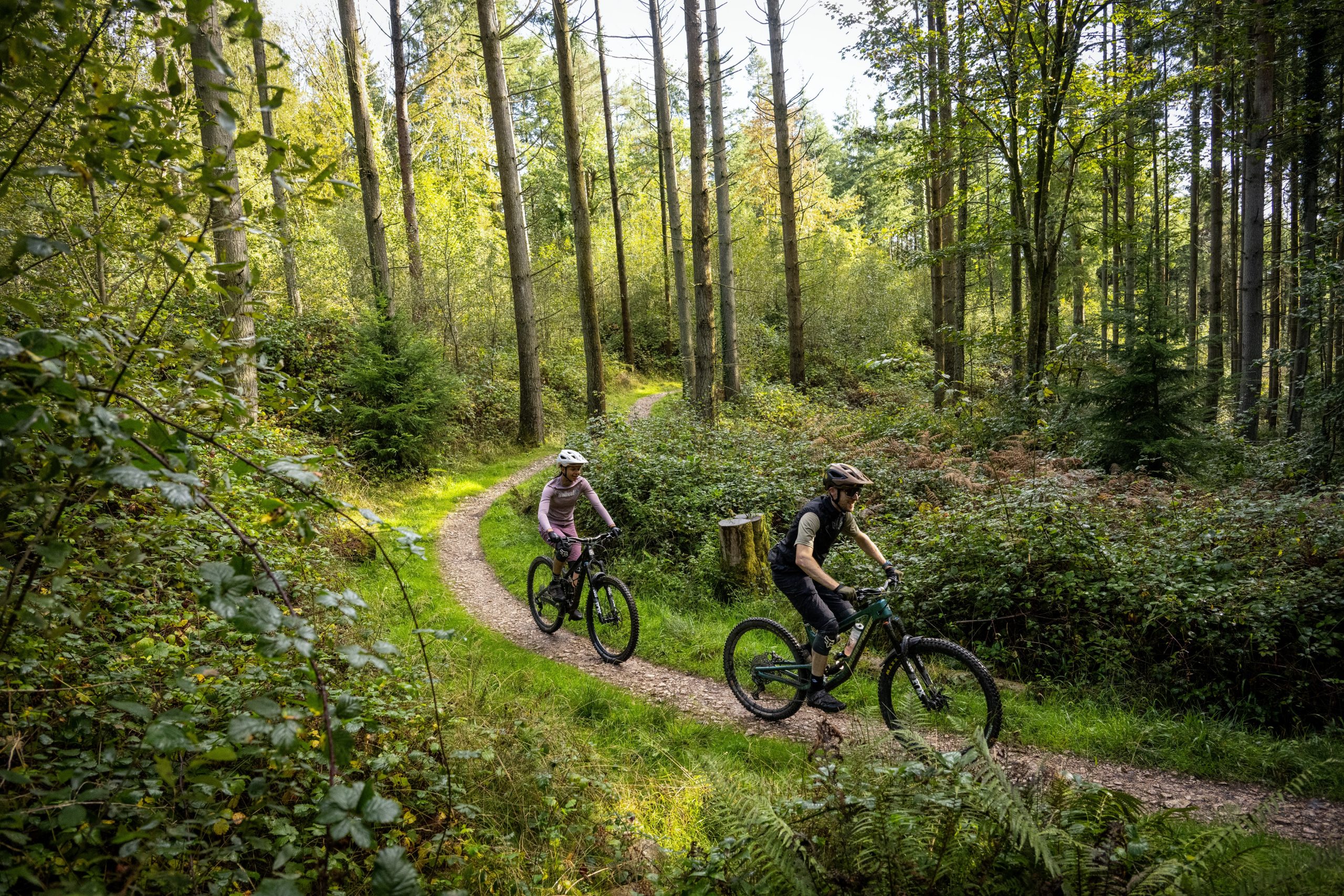 AL Forestry England 141023149 Custom scaled Forestry England seeks partner to operate Haldon Forest Park Cycle Hire