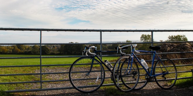 BA working to address logistics costs and quality issues faced by trade