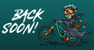 Back Soon BB Silverfish UK affected by US ransomware attack