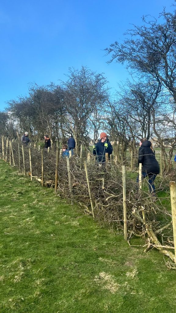 BikePark3 £250,000 funding secured for Richmond Bike Park as building plans gear up