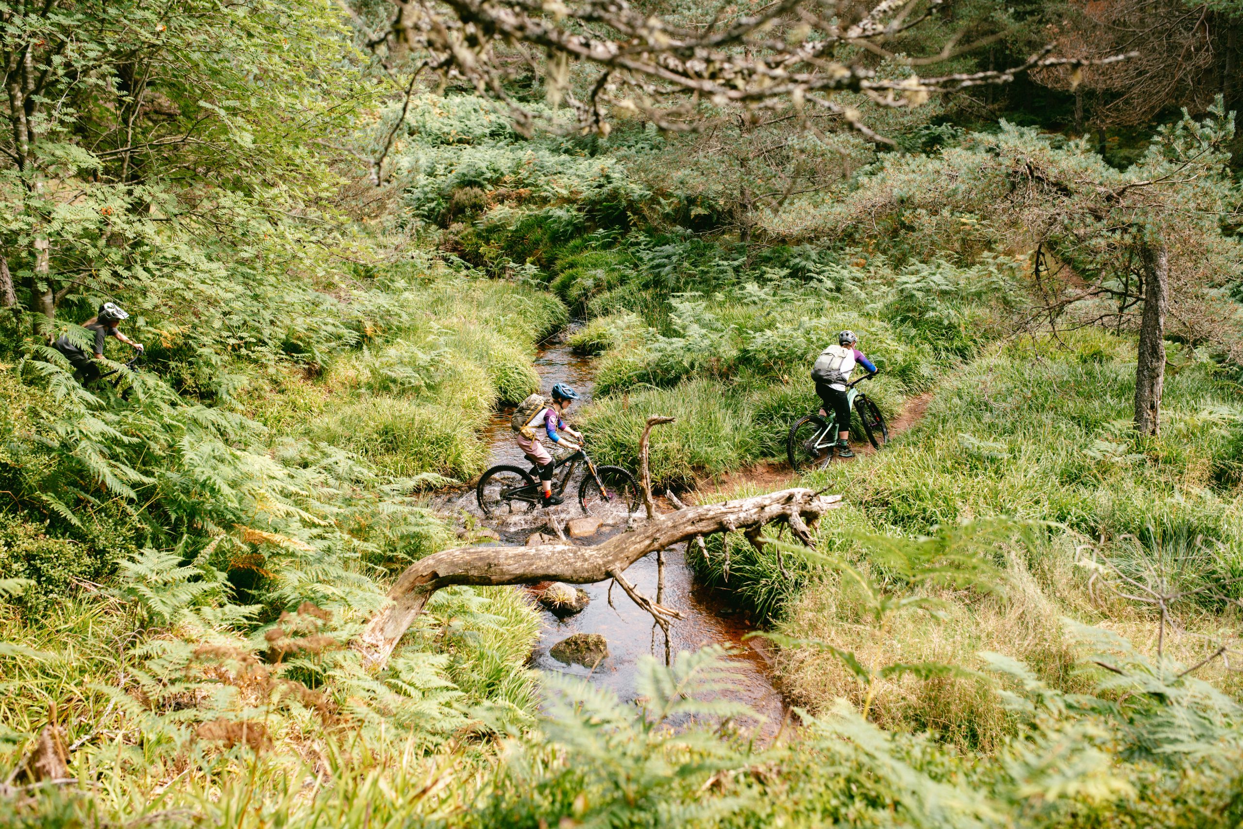 DSC 4505 1 scaled Limitlass hailed 'a huge success' as festival celebrates women's mountain biking