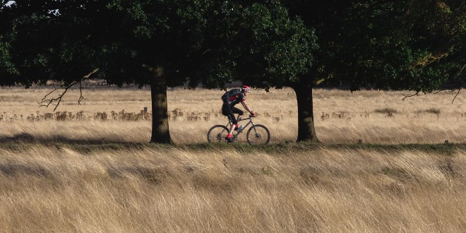 DfT’s National Travel Attitudes Survey shows increased importance of walking and cycling