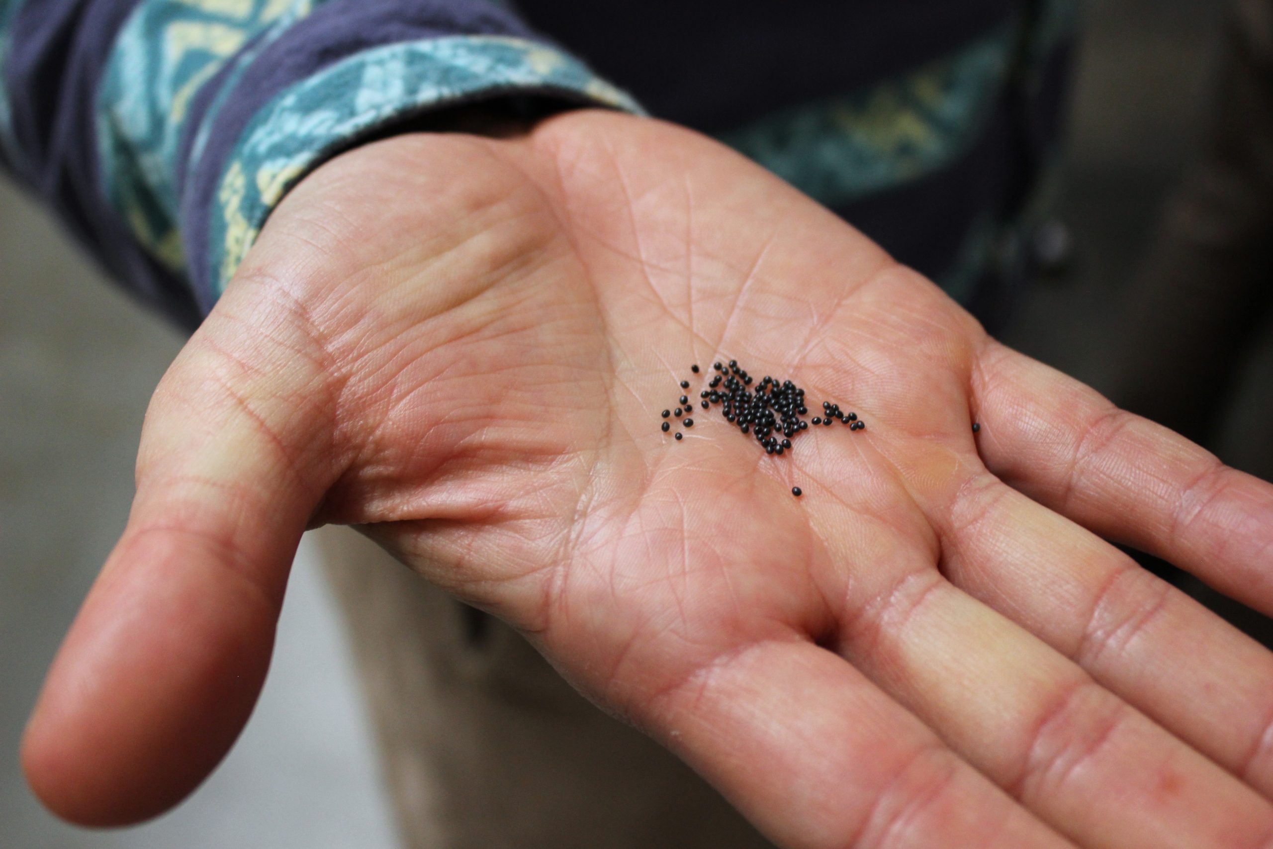 EPS before heating scaled Behind ‘Made in Italy’: How ABUS Road Helmets are Made