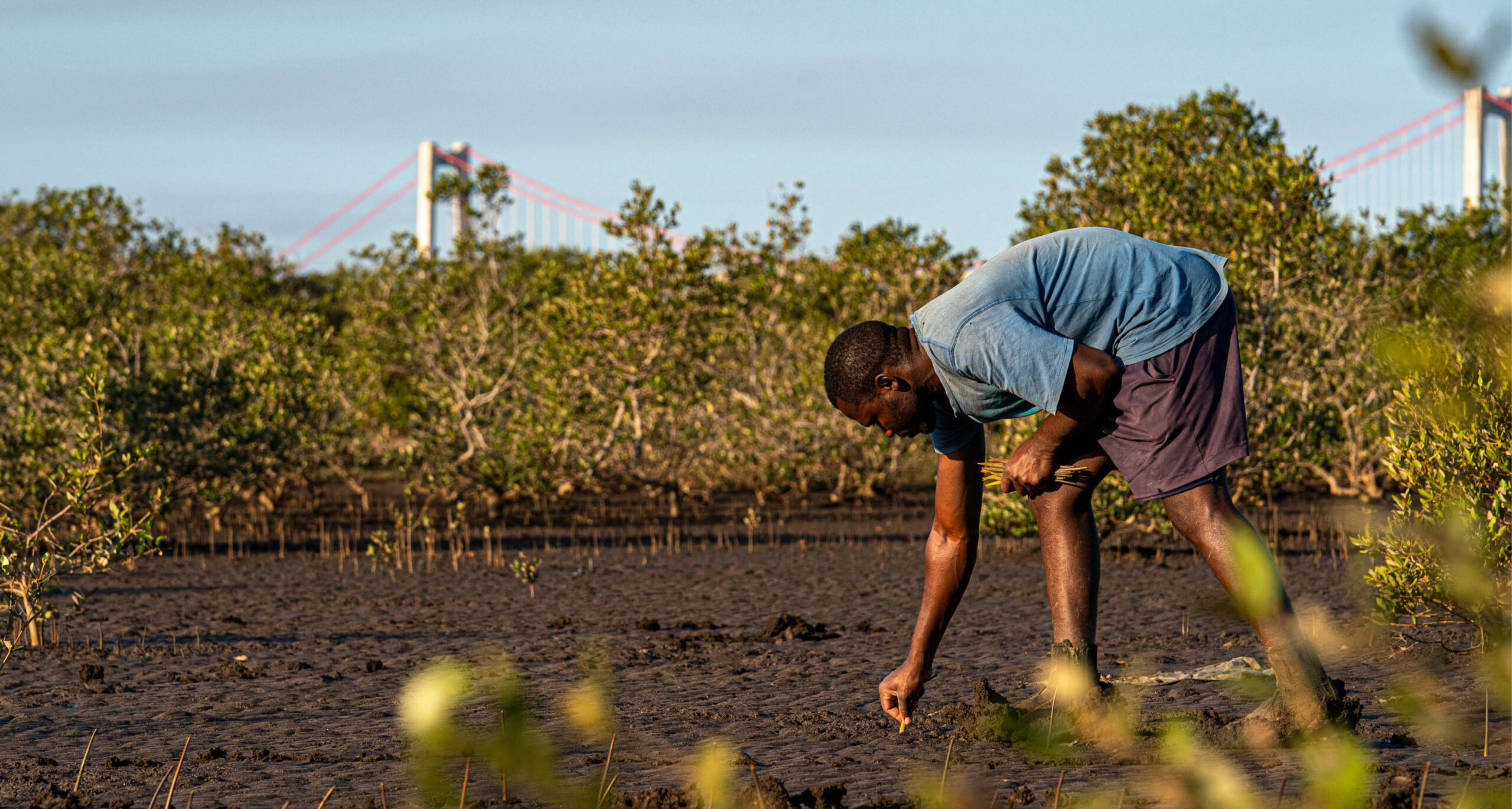 Endura plants over 1.3 million trees in 2020, aiming to be carbon negative by 2024