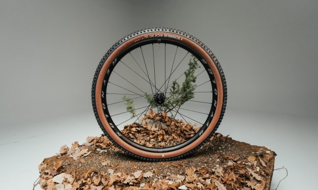 Reynolds launches Eternal Alloy wheel range