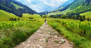 Garmin report Garmin releases 2021 Garmin Connect Fitness report, with gravel cycling rising nearly 50%