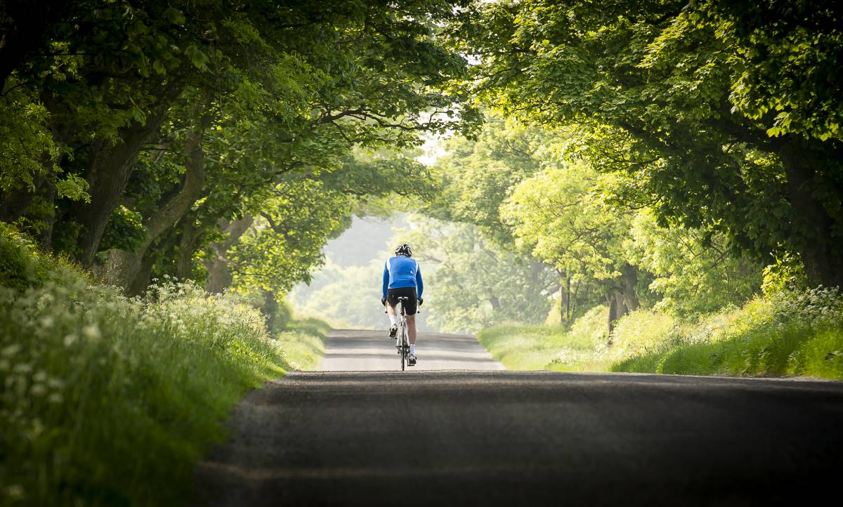 Dutch e-bike turnover up 36% and shows no signs of slowing