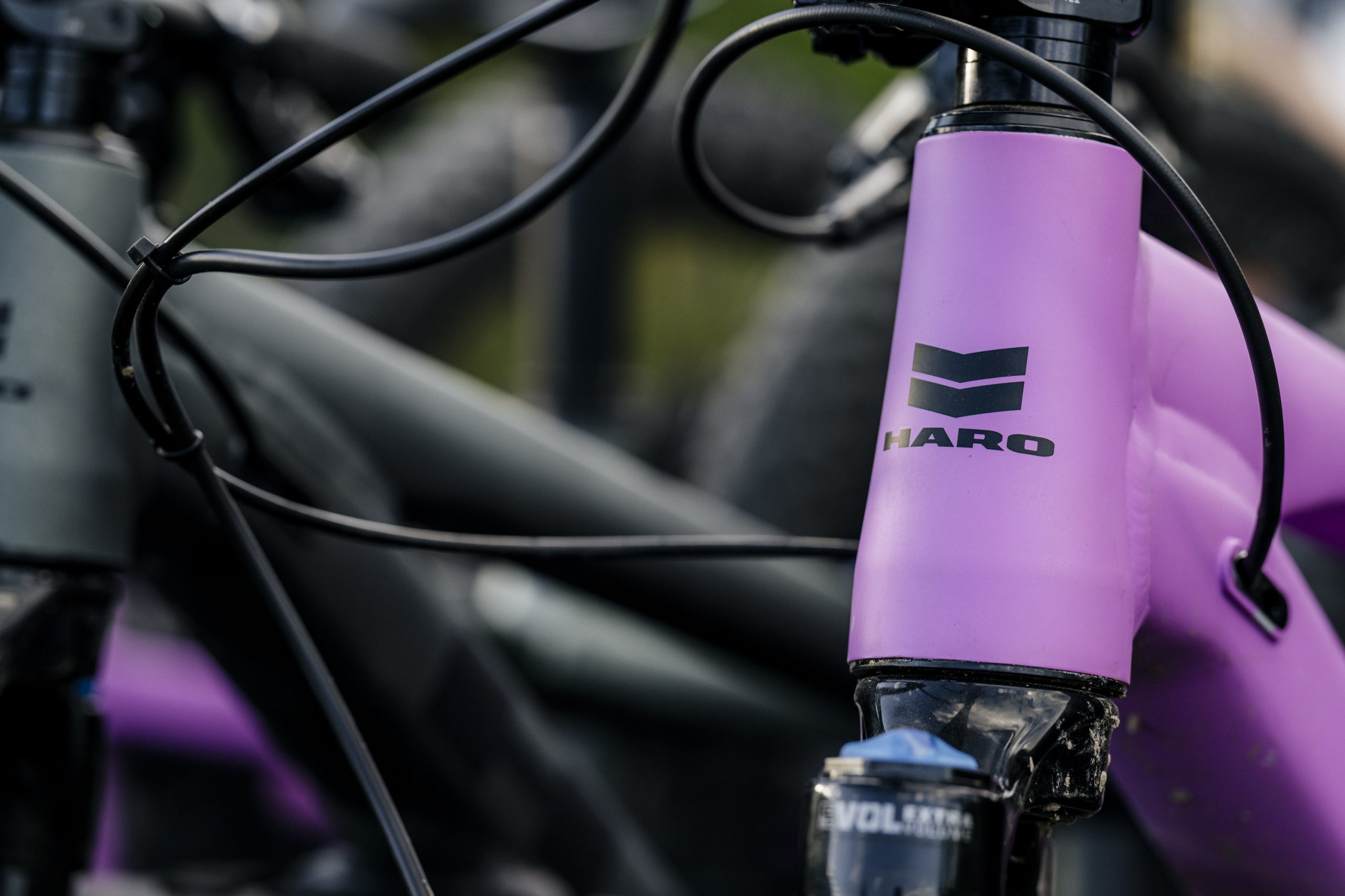 Haro Bikes appoints WeOutside as exclusive distributor for France