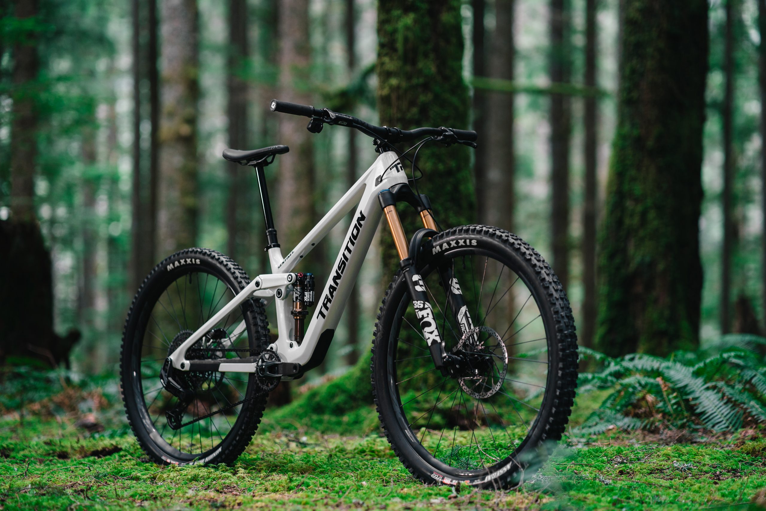 LIT01094 scaled Transition debuts all-new Sentinel