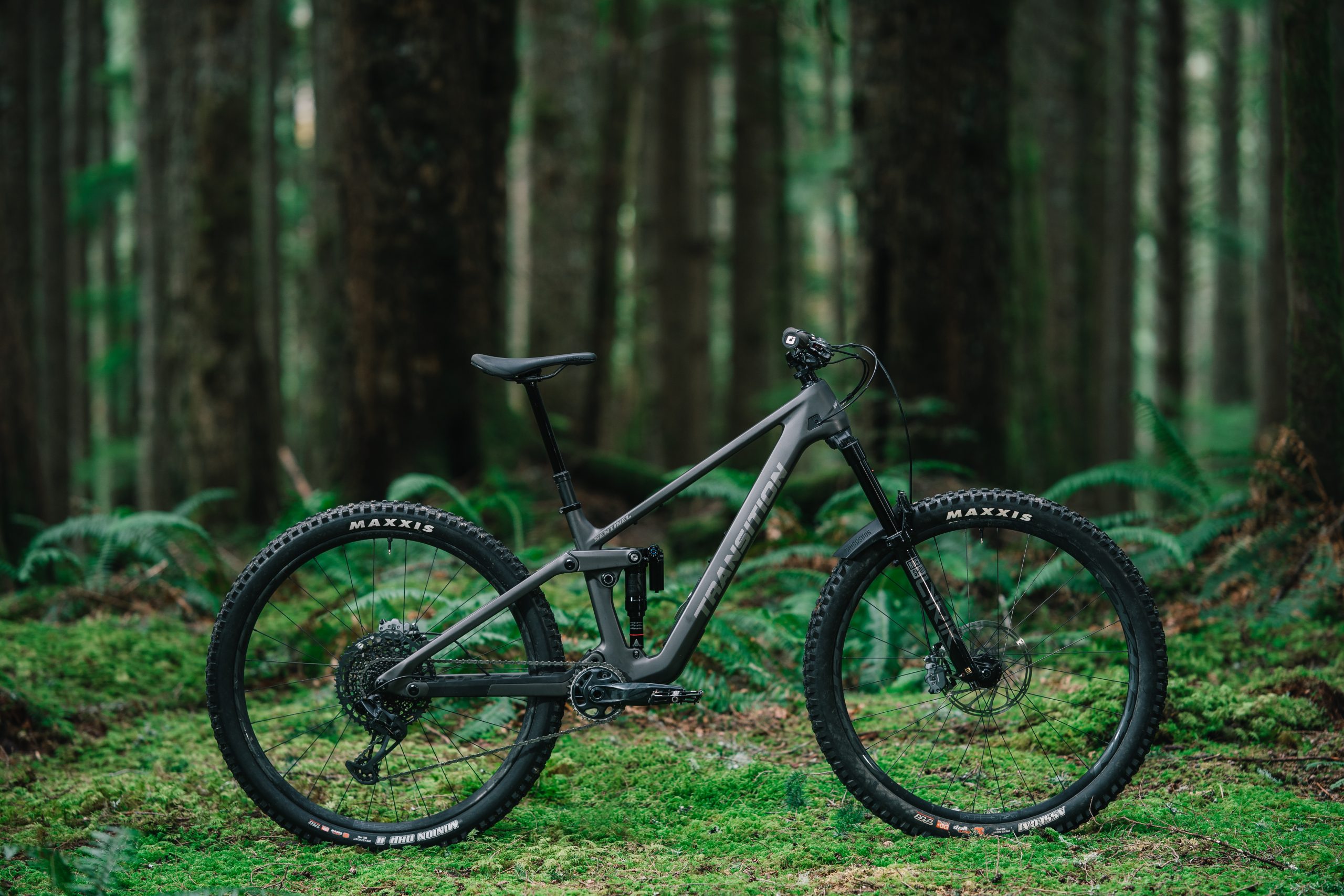 LIT01254 scaled Transition debuts all-new Sentinel