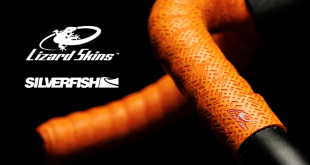 Lizard Skins and Silverfish