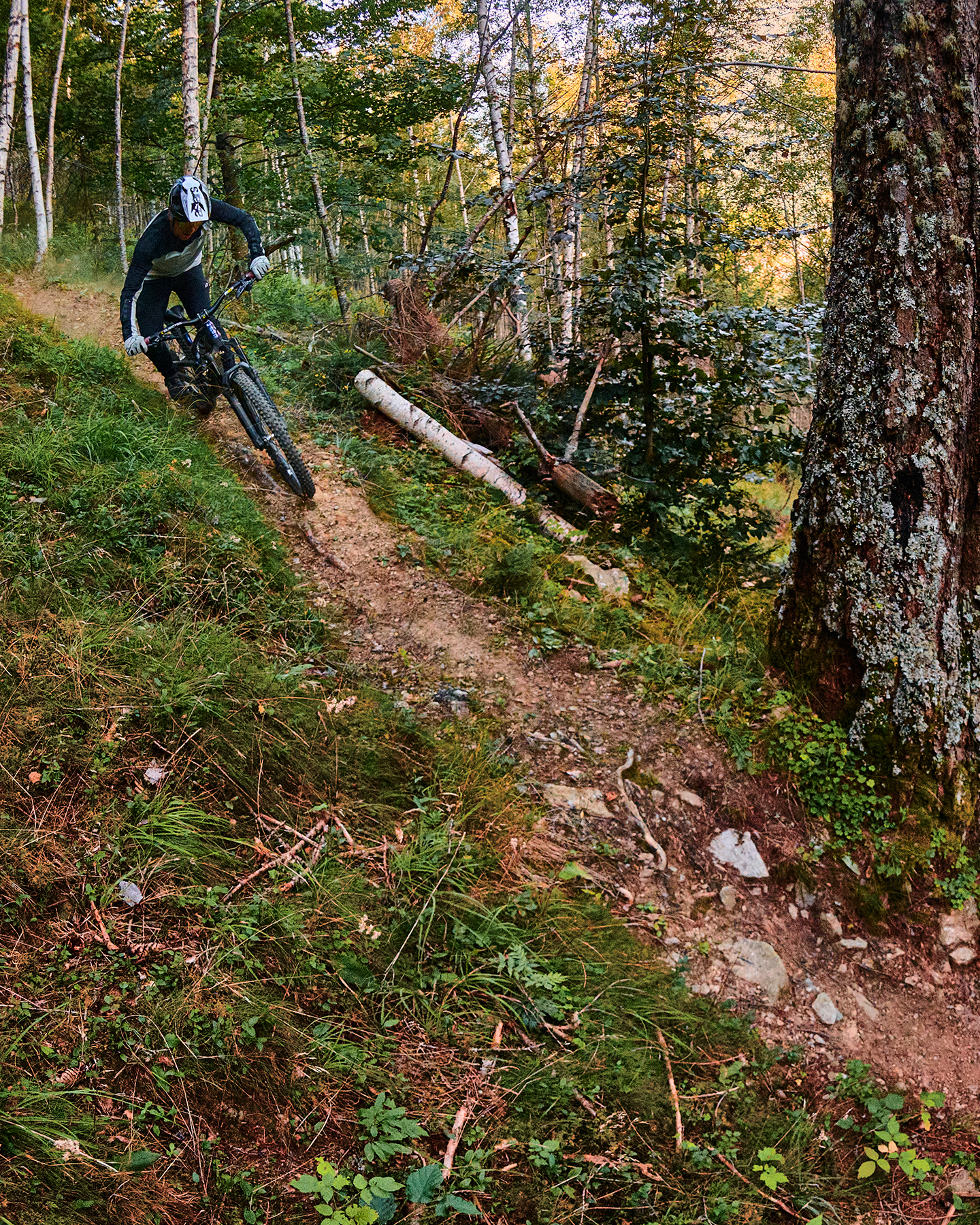 Alpinestars launches latest collection of MTB apparel