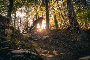 Mondraker Rider on wooded trail in sunshine Mondraker introduce all-new 2025 Crafty Carbon range