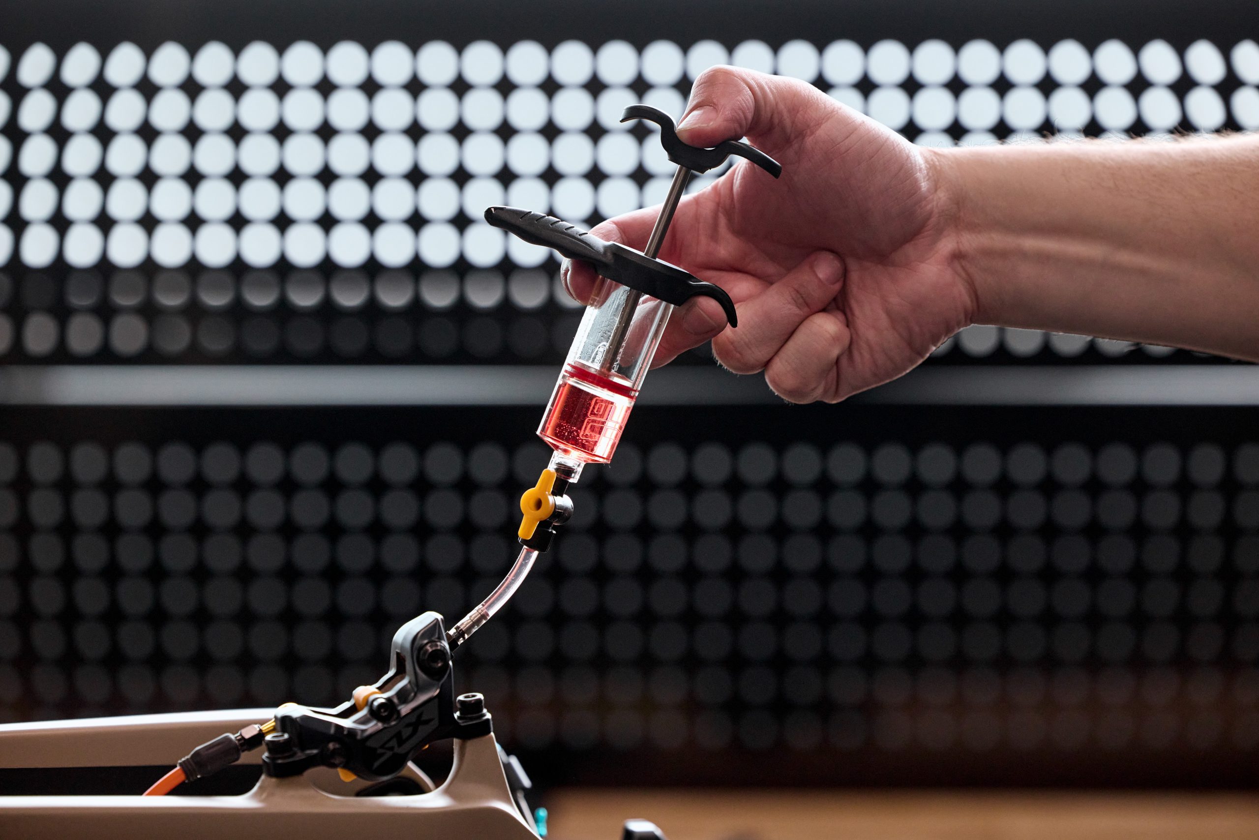 Picture 2 scaled Five minutes with: Jagwire