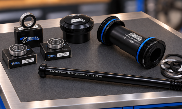 Black Bearing Seeks UK Partner to Support Riders and Workshops