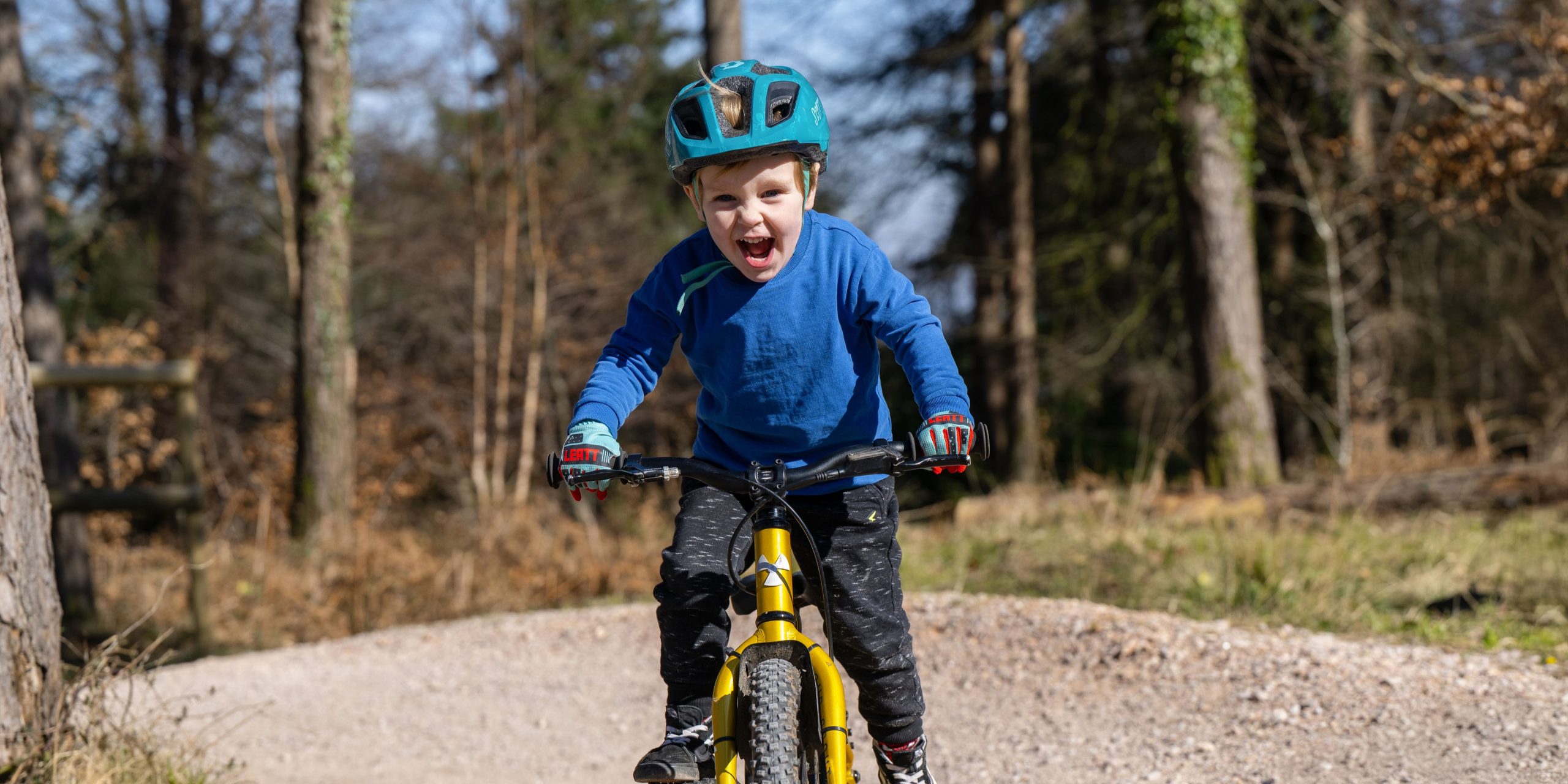 Forestry England seeks partner to operate Haldon Forest Park Cycle Hire