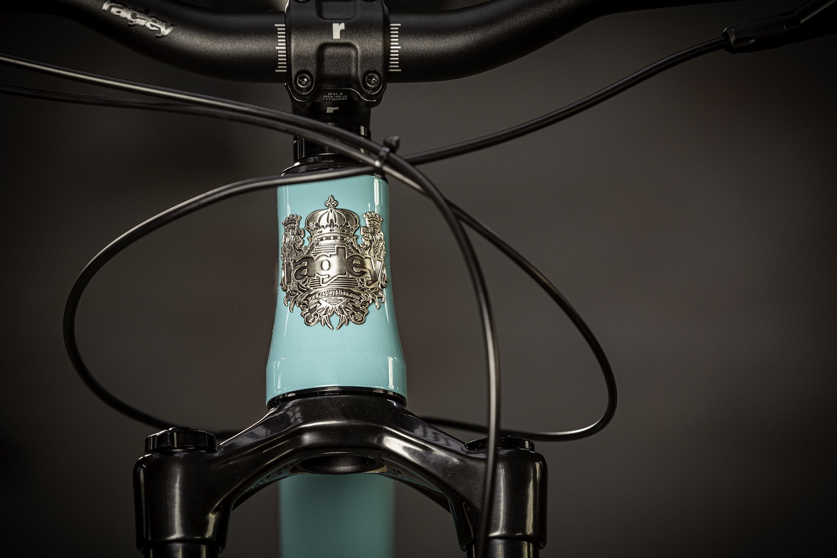 COREbike 2020: Hotlines