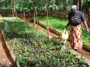 Reid2 1 Sustainability and the cycling industry: Reid Bikes