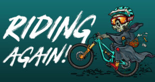 Riding Again News Story Header Silverfish UK website now back online