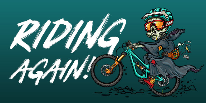 Silverfish UK website now back online