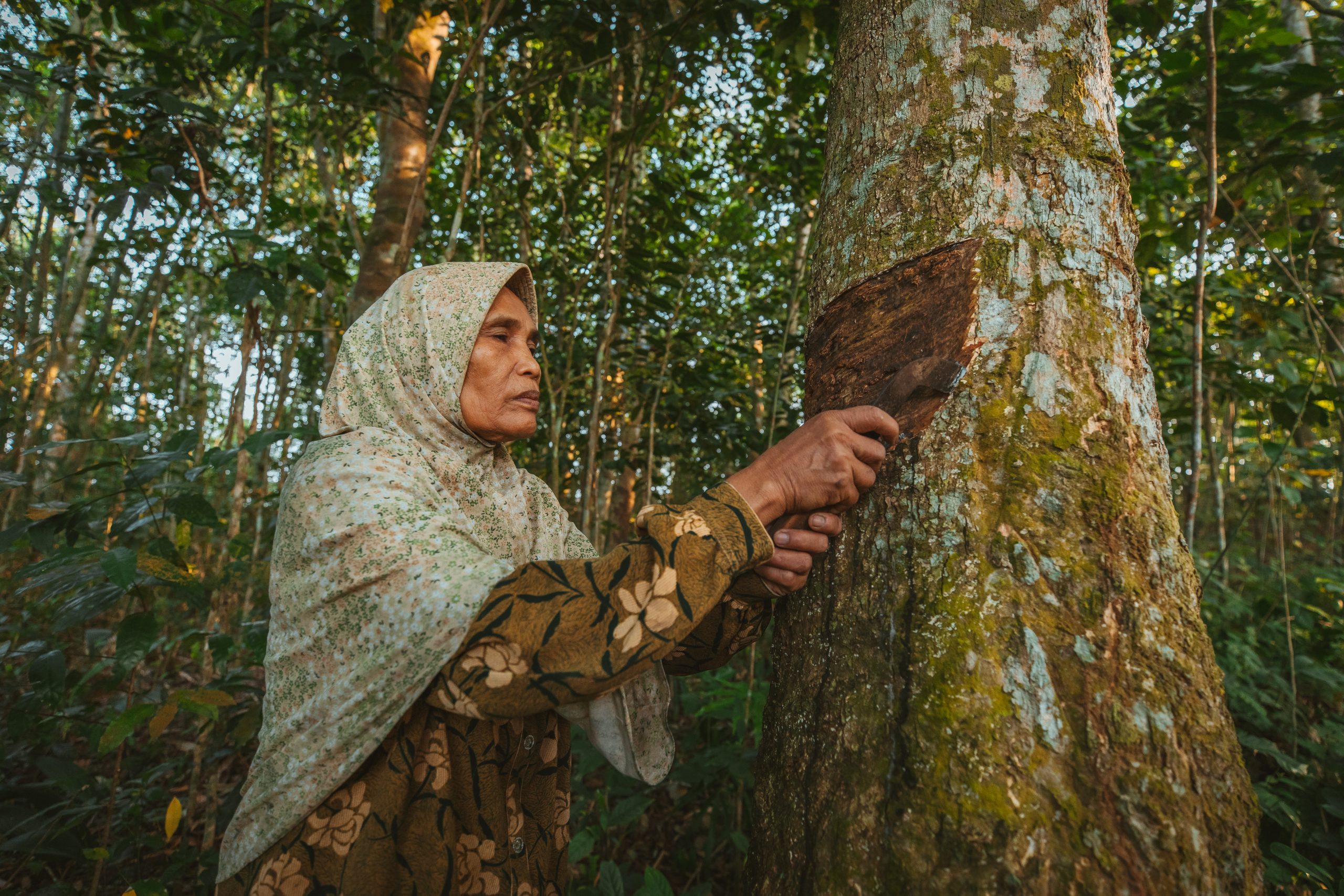 Schwalbe tyres aims to expand Fair Rubber in its products 