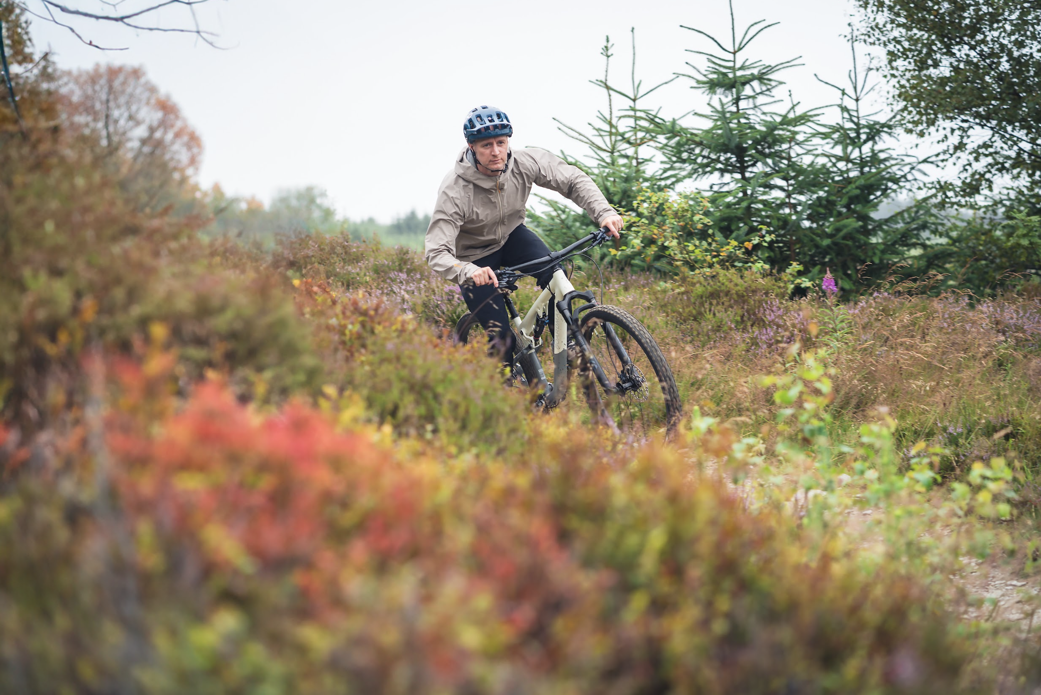 Screenshot 2024 09 23 at 11.57.30 Halfords expand 'premium' offering with host of bike launches