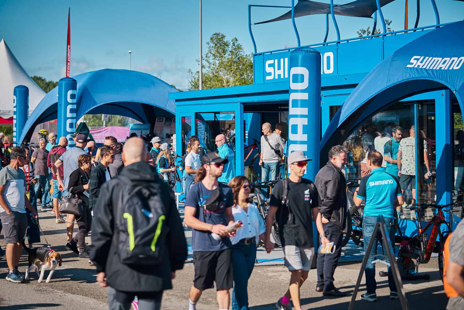 Record-breaking Sea Otter Europe sees more than 65,000 visitors from 112 countries