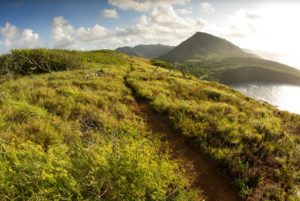 Shimano trail building funs trail image Shimano commits $10 million to global MTB trail building projects