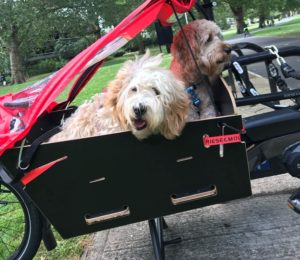 Sies dogs Team London Bridge to help organisations take up cargo bikes this Christmas