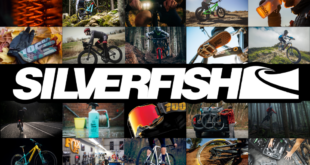 Silverfish reports year on year sales growth of 21 Silverfish sees strong summer sales, YoY growth of 21%