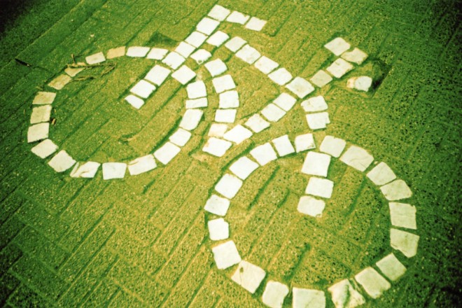Solving a major ecological issue