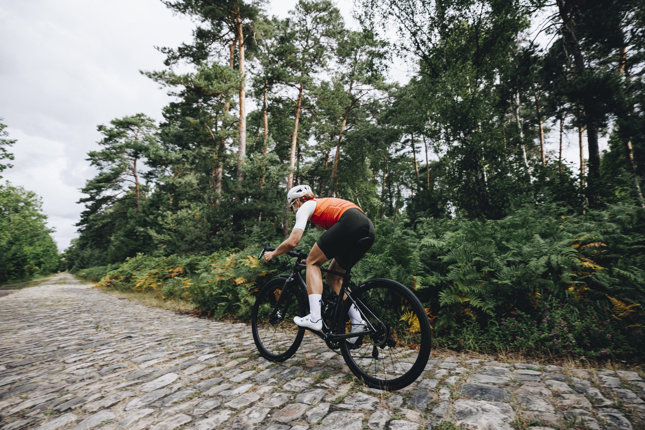 Specialized Roubaix 4515 MedRes scaled Specialized launches the Roubaix SL8 with Future Shock 3.0 and improved aerodynamics