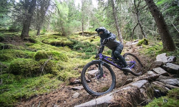 Trans Caledonia sells out but is still looking for brand partners