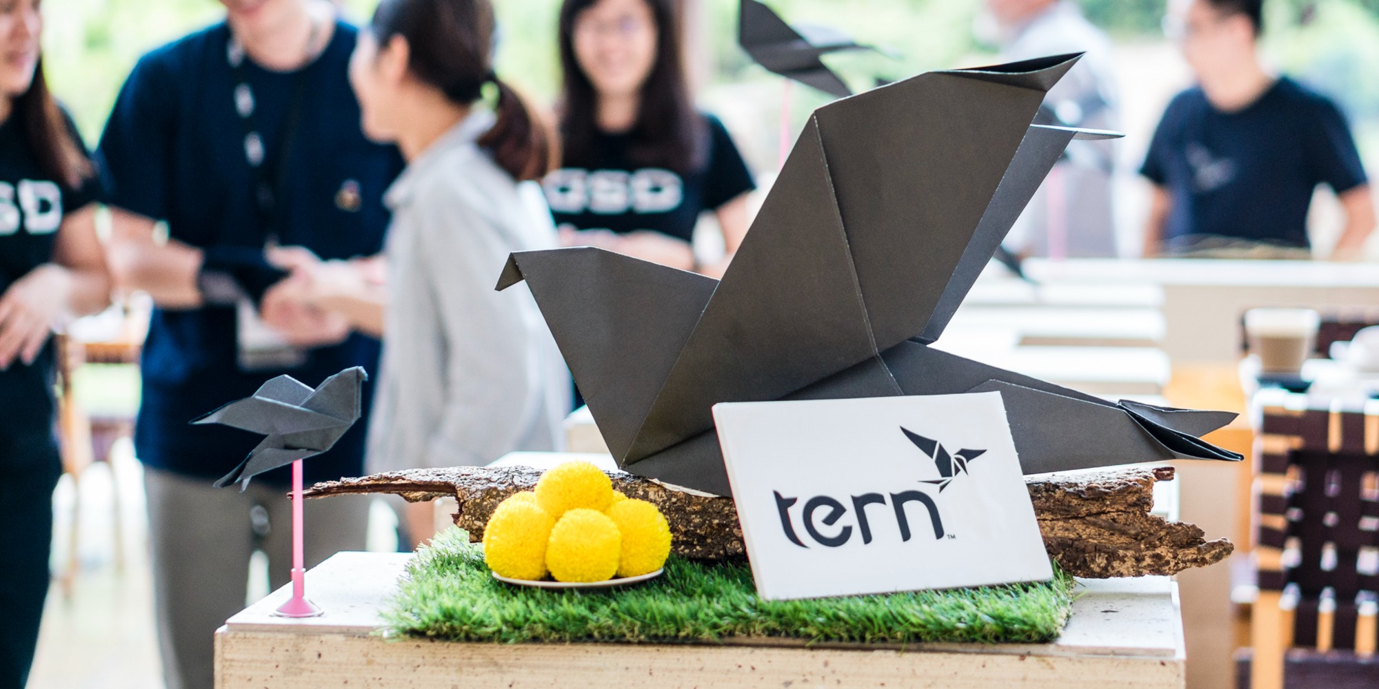 Tern strengthens leadership team with Davis, Hei and Ang appointments