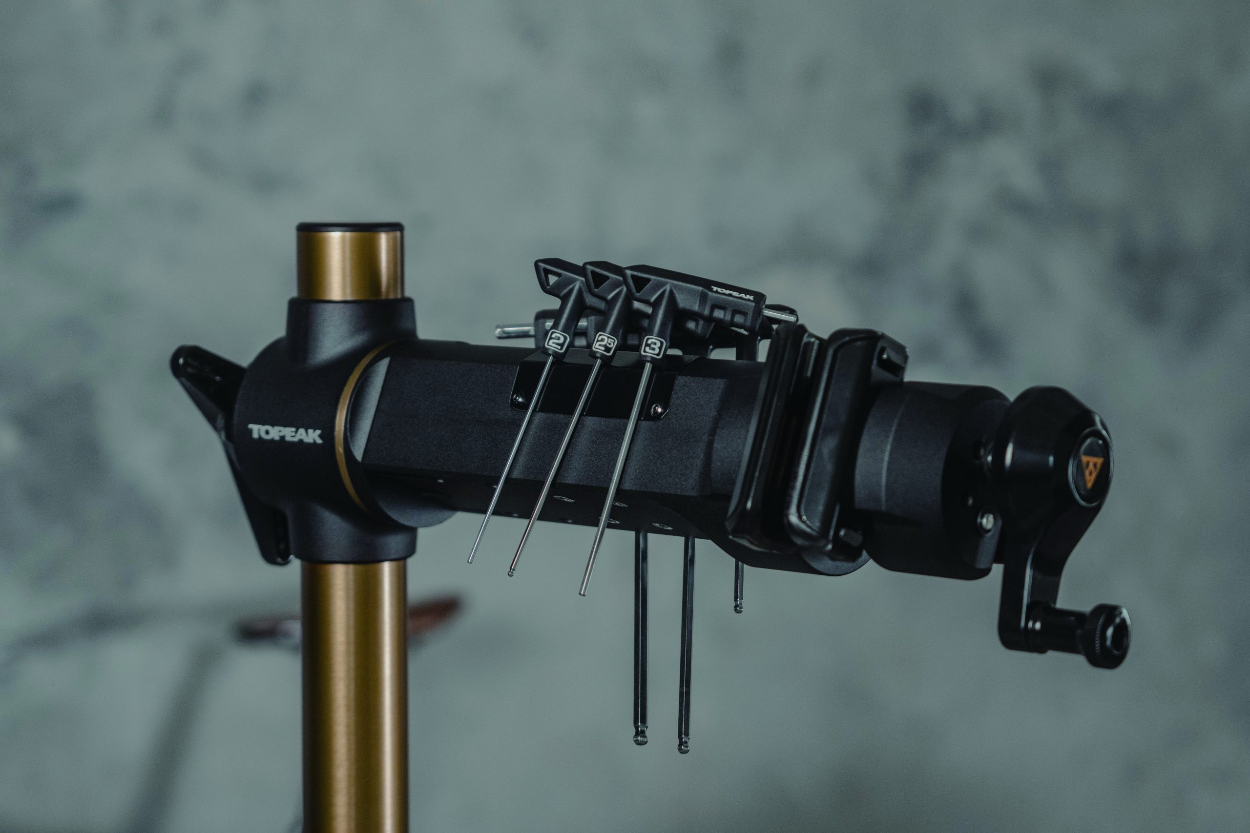 TW040 L meg plate 2024 12 scaled Inside Topeak: A Q&A with Max Chuang