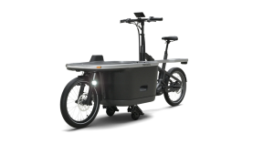 Tarran bike on white background 5 minutes with…. Tarran co-founder Freda Lu