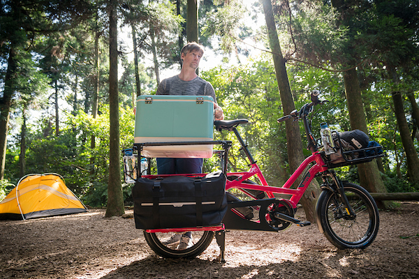 Tern announces additions to its senior management team