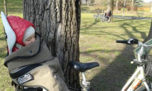 Testing Opossum with Cecilia Inside the development of the Opossum