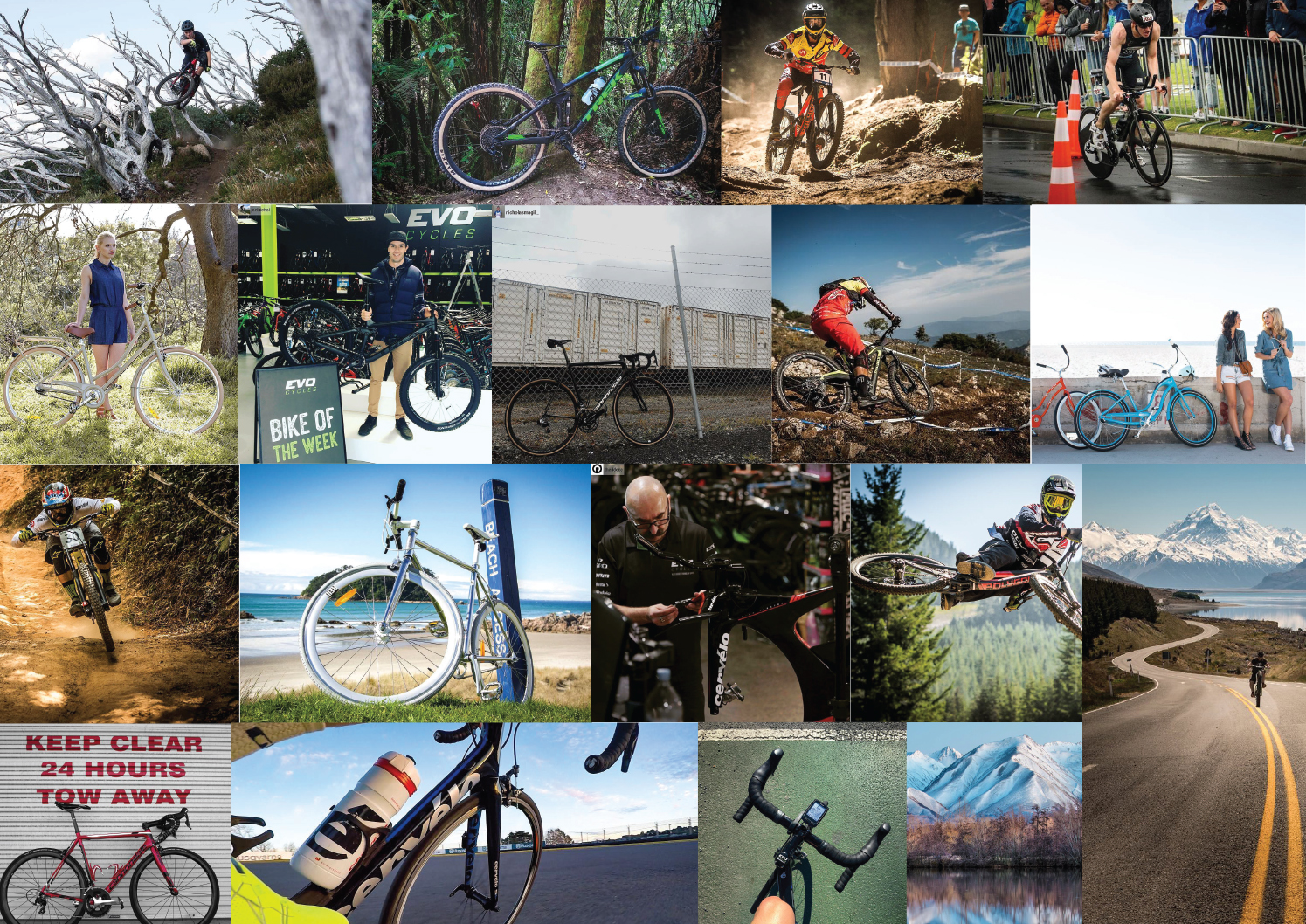 Trademe COLLAGE Bicycle Service Technicians