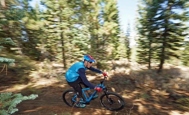 Reid pledges to plant a tree for every bike it sells