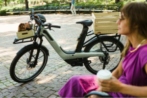 VAAST E 1 at rest VAAST Bikes adds E/1 to range