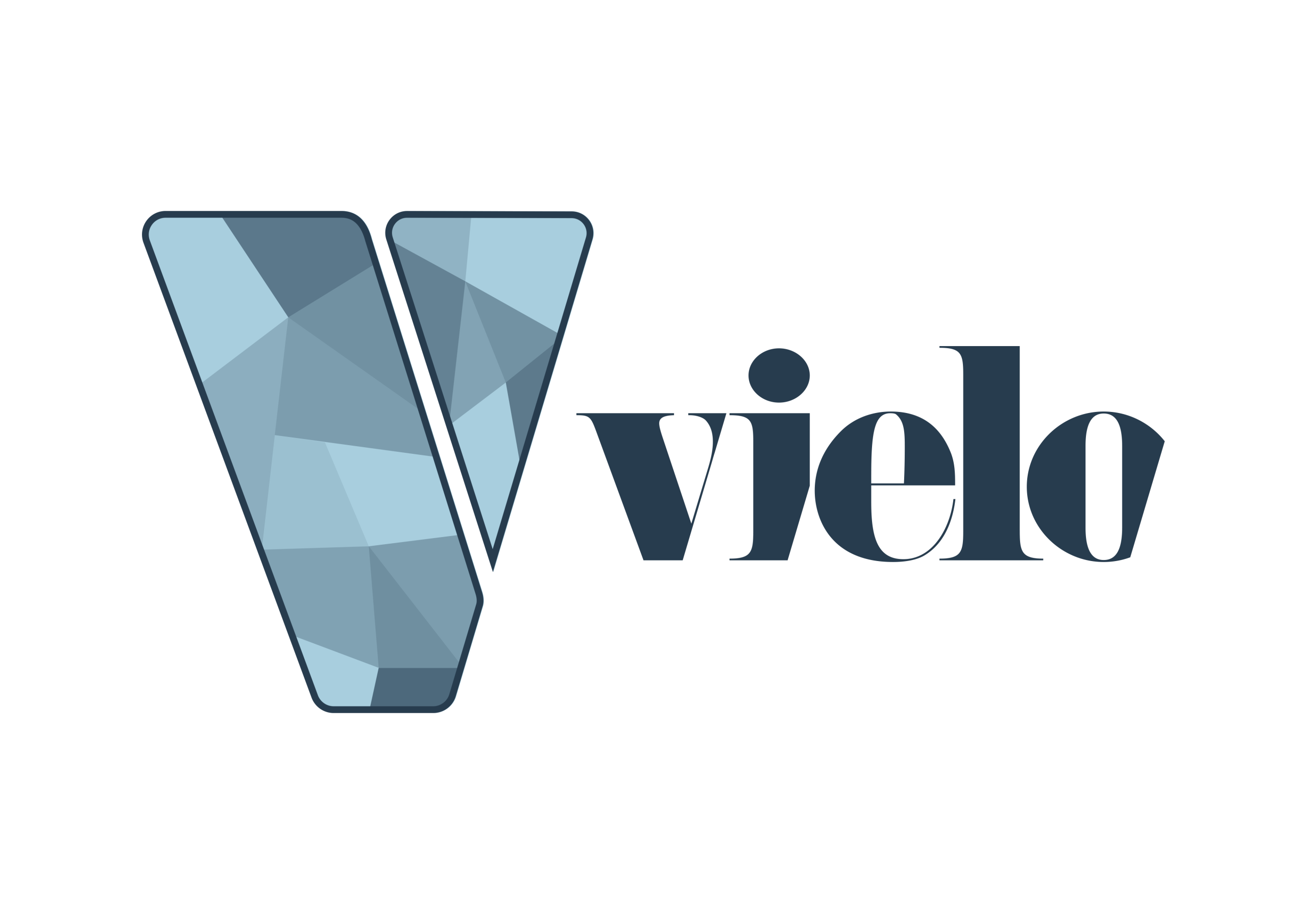 Vielo 2 Col Line Version scaled Head of Sales